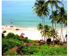 ЦЕНТРАЛЬНЫЙ ГОА